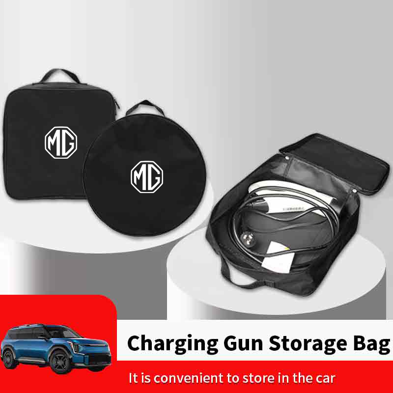 Borsa portaoggetti per pistola - Car Trunk Organizer recensione e prezzo